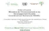 Ministère de l’Environnement et du Développement Durable ... · Pays et Agence /Organisme Consultation régionale et l’atelier de renforcement des capacités pour l’Afrique
