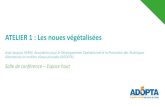 ATELIER 1 : Les noues végétalisées - FREDON Lorraine...ATELIER 1 : Les noues végétalisées Jean-Jacques HERIN, Association pour le Développement Opérationnel et la Promotion