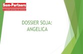 DOSSIER SOJA: ANGELICA - Sem-Partnerssem-partners.com/doc/angelica.pdf · 2019. 2. 6. · ANGELICA 7 Résultats 2017 SEM PARTNERS : Résultats SOJA Récolte 2017 Rep 1 Rep 2 moyenne