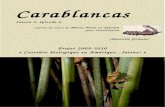 Carablancas - notre-planete.info · Etape 17: La ceinture de feu Pour comprendre l'origine de la biodiversité centraméricaine, il faut s'intéresser à son histoire géologique