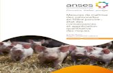 AVIS et RAPPORT de l'Anses relatif aux mesures de maîtrise des salmonelles en filière porcine - Agence nationale de sécurité sanitaire de … · Page 2 / 19 Avis de l’Anses