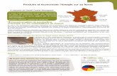 Produire et économiser l’énergie sur sa fermeagriculture-moyenne-montagne.org/IMG/pdf/fiche... · Solagro, agriculture et énergie : 75 Voie du TOEC —CS 27608—31076 Toulouse