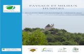 PAYSAGE ET MILIEUX HUMIDES - Pôle lagunes · 2019. 11. 14. · paysage / protection du paysage / politique de l'environnement / patrimoine naturel consulter la base documentaire