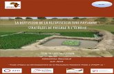 La diffusion de la rizipisciculture paysanne stratégies de ...apdra.org/IMG/file/1806_Capitalisation PADPP2... · - Projet d’Appui au Développement de la Pisciculture Paysanne