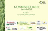 Céréales Blanc Livre La fertilisation azotée · 2020. 8. 19. · Conseils de fumure 2019. N.PREC Froment : Conseils de fumure 2019 N.PREC SELON : Précédent cultural 3 Fractions