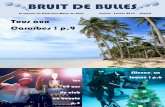 BRUIT DE BULLES - Csmn, Club Sous-Marin du Nord · 2018. 2. 18. · 2 Le p’tit mot du Comité Souvenez-vous, lors de notre dernière AG en juin 2017, Eric d'Harlingue, président