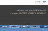 Normes de base en matière de risques aéronautiques Secteur ...d’heures de vol 1.9 : Période de service de vol 1.10: Maintenance Temps de service 1.11 : Système de gestion de
