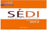 SEDI - 1...10 avril (avenant « nature du gaz à Vourey et Charnècles), Primagaz, conférence investissement, groupement de commandes, avenant périmètre électricité et R2, visites