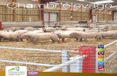 L’engraissement des agneaux de bergerie : les clés de la réussite - … · 2018. 3. 29. · Un protocole de soins ostéopathiques à la portée des éleveurs caprins Suite à