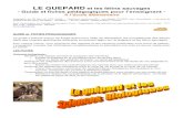 - guepard LE GUEPARD et les fأ©lins sauvages - Guide et fiches pأ©dagogiques pour lâ€™enseignant - A