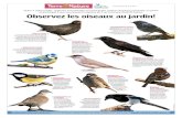 Grâce à notre poster, apprenez à reconnaître les …Observez les oiseaux au jardin! Grâce à notre poster, apprenez à reconnaître les principales espèces d’oiseaux présentes