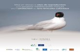 Mise en réseau sites de reproduction pourtour méditerranéen … · 2019. 1. 30. · espèces nomades, peu fidèles à leurs sites de nidification. Le développement d’un large