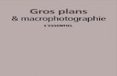Gros plans & macrophotographie L'essentiel...macrophotographie. Bien que les termes de gros plan et de macrophotographie soient souvent utilisés indifféremment, la macrophotographie