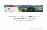 COMPTE FINANCIER 2016 RAPPORT DU CHEF D’ETABLISSEMENTcollege-ledimitile.ac-reunion.fr/wp-content/uploads/... · 2017. 6. 12. · Rapport de la Gestionnaire – compte financier