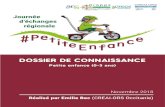 DOSSIER DE CONNAISSANCE · 2018. 11. 26. · Dossier de connaissance – Novembre 2018 - Emilie Bec – CREAI ORS Occitanie JER Petite enfance (0-3 ans), 27 novembre 2018 Carcassonne