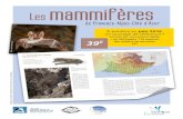 Les mammifères - biolovision.netfiles.biolovision.net/...Les mammifèresde Provence-Alpes-Côte d'Azur À paraître en juin 2016, un ouvrage de référence ! Format A4, couverture