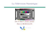 La Télévision Numériqueherve.boeglen.free.fr/Cours_dvb.pdf · La compression Vidéo MPEG2 3. La compression Audio MPEG1-L2 4. Le Transport Stream (TS) MPEG2 5. Le codage de canal