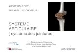 SYSTEME ARTICULAIRE [ système des jointures ]linda.an.free.fr/PAES/03_Systeme_Articulaire.pdf · 2 LE SYSTEME ARTICULAIRE • Le système articulaire rassemblent les moyens par lesquels