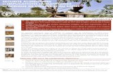 SECURITE ALIMENTAIRE ET IMPLICATIONS HUMANITAIRES EN ...€¦ · Au Sahel, la période de soudure continue dans les zones du Niger, du Sénégal et du Tchad ayant souffert d’un