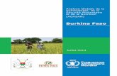 Analyse Globale de la Vulnérabilité, de la Sécurité …...la lutte conte linsécuité alimen taire et la malnutrition au Burkina, qui ont apporté leur expertise lors de la phase