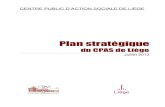 Plan strat gique 18 juillet 2013 - derni re version · Schéma 1 : Système organisé d'action 4 La démarche stratégique a amené les agents du CPAS de Liège à mieux comprendre