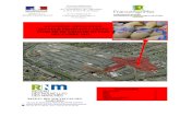 SYNTHÈSE MENSUELLE SECTEUR PRODUITS CARNÉS MARCHÉ DE GROS DE RUNGIS DECEMBRE 2015driaaf.ile-de-france.agriculture.gouv.fr/IMG/pdf/2015... · 2016. 1. 21. · 4,2 4,4 4,6 4,8 5