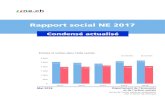 Rapport social NE 2017...Cette action sociale se traduit par de l’aide personnelle : écoute, conseil, soutien, mesure active, orientation. Elle prend aussi la forme de l’aide