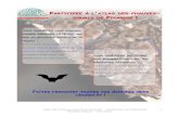 Atlas des chauves-souris de Picardie – Guide pour les bénévoles … · 2015. 4. 27. · chiroptères en estivage. Du guano en quantité importante (éparpillé ou en tas) laissera