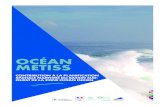 OCÉAN METISS - region.reunion...2018/03/29  · A travers ce beau nom, on lit aussi la volonté de La Réunion de contribuer activement au développement de l’économie bleue que