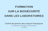 Formation sur la biosécurité dans les laboratoires · 2020. 5. 16. · FORMATION SUR LA BIOSÉCURITÉ DANS LES LABORATOIRES. Comité de gestion des risques biologiques. Université