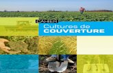 CAHIER Cultures de COUVERTURE · Mais on peut réduire les risques en attendant 14 jours après la destruction du seigle avant de semer le maïs et en semant à 2,5 po à 3 po de