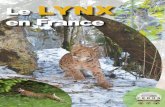 Le LYNX en France - FERUS · 2019. 8. 12. · lynx du Canada (Lynx canadensis). Le lynx boréal est présent dans toute l’Eurasie. Les noyaux de populations d’Europe occidentale