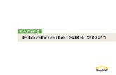 Électricité SIG 2021 · 2020. 8. 28. · par SIG à acheminer au travers de leurs installations l’énergie fournie à des consommateurs tiers, tel que prévu à l’article 20
