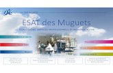ESAT des Muguets...ESAT des Muguets Conjuguons services professionnels et insertion active L’Association des Établissements du Domaine Emmanuel • Créée en 1954 • 24 établissements