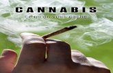CANNABIS - Le Monde de Demain...Cannabis : ce qu’on vous cache propriétés hallucinogènes du chanvre femelle qui font l’objet de toutes les attentions. Les feuilles, les tiges