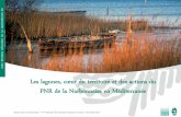 Les lagunes, cœur du territoire et des actions du PNR de la … · 2017. 10. 18. · Ramsar dans la Narbonnaise –5ème séminaire des animateurs Ramsar en France–Novembre 2013
