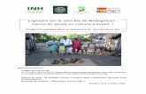 L’igname sur la côte Est de Madagascar : Plante du passé ...iarivo.cirad.fr/doc/corus/Rapport_stageAurelien.pdf · L’igname sur la côte Est de Madag. ascar : Plante du passé