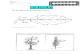 WordPress.com€¦ · Web viewLes types de feuilles Author Claire Created Date 10/07/2010 15:47:00 Last modified by Claire ...
