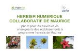 HERBIER NUMERIQUE COLLABORATIF DE MAURICE · 2014. 10. 2. · Un herbier numérique collaboratif? En collaboration avec des équipes de recherche, notamment l’équipe CIRAD du projet