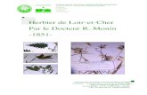 HERBIER DE LOIR-ET-CHER · 2018. 7. 20. · Etude de l’Herbier MONIN du Loir-et-Cher, daté de 1851 3 Sommaire 1 - Introduction p. 2 2 - Le Docteur Romain MONIN et les botanistes