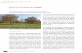 Agroforesterie en Suisse · Lors des simulations avec 70 arbres/ha, la ... paysagères sélectionnées de façon aléatoire (statistique-ment représentatives) en Hollande, en France