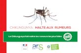 CHIKUNGUNYA : HALTE AUX RUMEURS€¦ · CHIKUNGUNYA : HALTE AUX RUMEURS. Le chikungunya se transmet exclusivement par le moustique Aedes aegypti. Ce virus est uniquement transmis