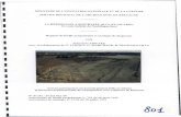 Pléchatel (35). L'habitat néolithique de la Hersonnais. Rapport de …ns2014576.ovh.net/files/original/7261d2ee3adf06e32aae2c... · 2016. 6. 3. · Leroux, 1990) faisait spontanément