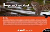 Lynx boréal - sfepm.org · Edito s e p t e m b r e 2 0 2 0 La lettre d’actualités sur le Lynx boréal n°3 L ynx boréal, nouvelles d’ici et d’ailleurs En ces temps de pandémie,