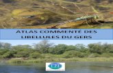 ATLAS COMMENTÉ DES LIBELLULES DU GERS · CATIL J.-M. (coord.), 2015 – Atlas commenté des libellules du Gers. ente Pemanent dInitiatives pou lEnvionnement Pays Gesois – LIsle-de-Noé.