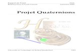 Projet Quaternions - Cyril Crassin IA41d.pdf · 2012. 6. 21. · Martin, professeur de Mathématiques à l’UTBM. A partir des connaissances ainsi acquises, nous avons pu répertorier