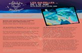 LES GAZELLES DE L’IZ AIR - Centre Éducatif Desdesbecasseaux.com/.../2015/10/RallyeAichaGazelles_2016.pdfRallye des gazelles, je me lance dans une épreuve sportive et aux sensations