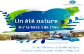 sur le bassin de Thau · 2019. 7. 19. · 0 5 km Cap d'Agde Lagune de Thau Bouzigues Poussan Frontignan Balaruc-les-Bains Loupian Cournonterral Saint-Jean-de-Védas Fabrègues Villeneuve-lès-Maguelone