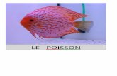 LE POISSON - CanalBlog · 2019. 1. 9. · LE PINGOIN . LA SAUTEERELLEE . Author: caroline Created Date: 1/22/2010 4:40:40 PM ...