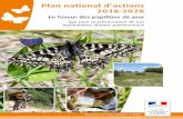 Plan national d’actions 2018-2028european-butterflies.org.uk/downloads/PNA... · Remerciements À l’ensemble des membres du comité de suivi de la rédaction de ce PNA (cités
